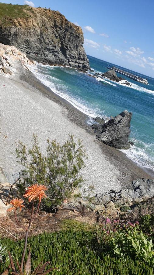 Appartamento Port De Llanca , La Miranda Esterno foto